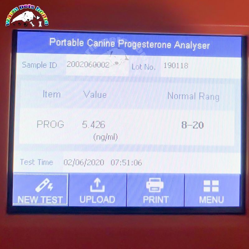 Dog Progesterone Analyzer Portable Dog Progesterone Tester Canine Progesterone Testing Machine Veterinary Equipment · v5
